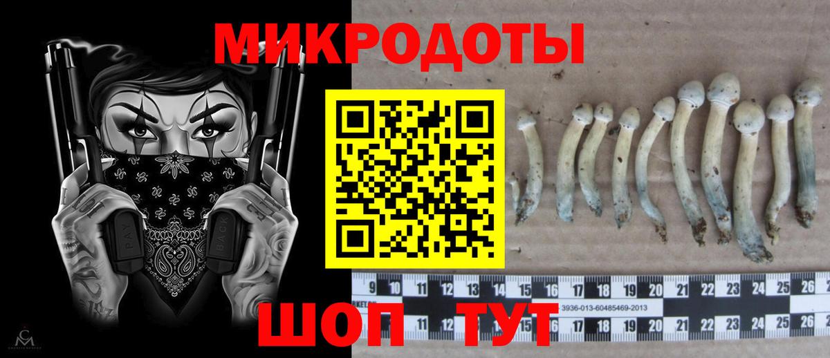 Галлюциногенные грибы GOLDEN TEACHER Вольск