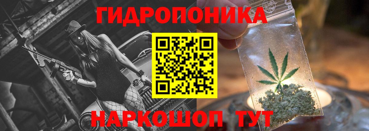 Бошки марихуана Ganja  Конопля ГИДРОПОН  Вольск  МАРИХУАНА Bruce Banner  Вход с VPN 